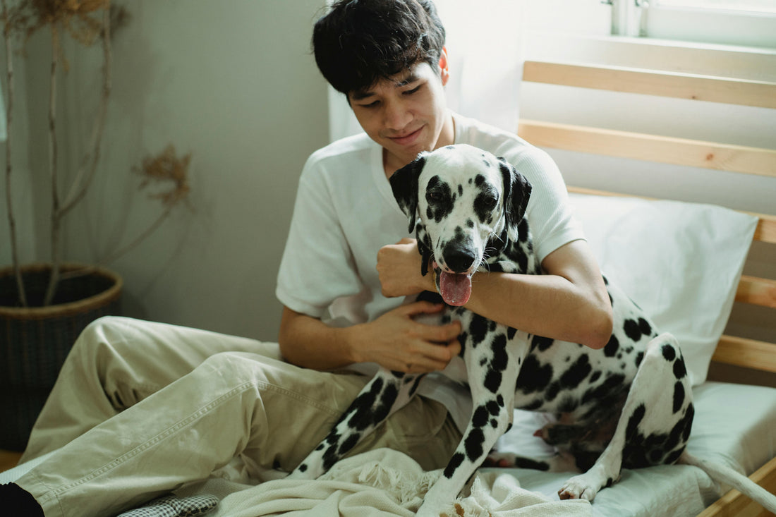Bringing a New Dog Home