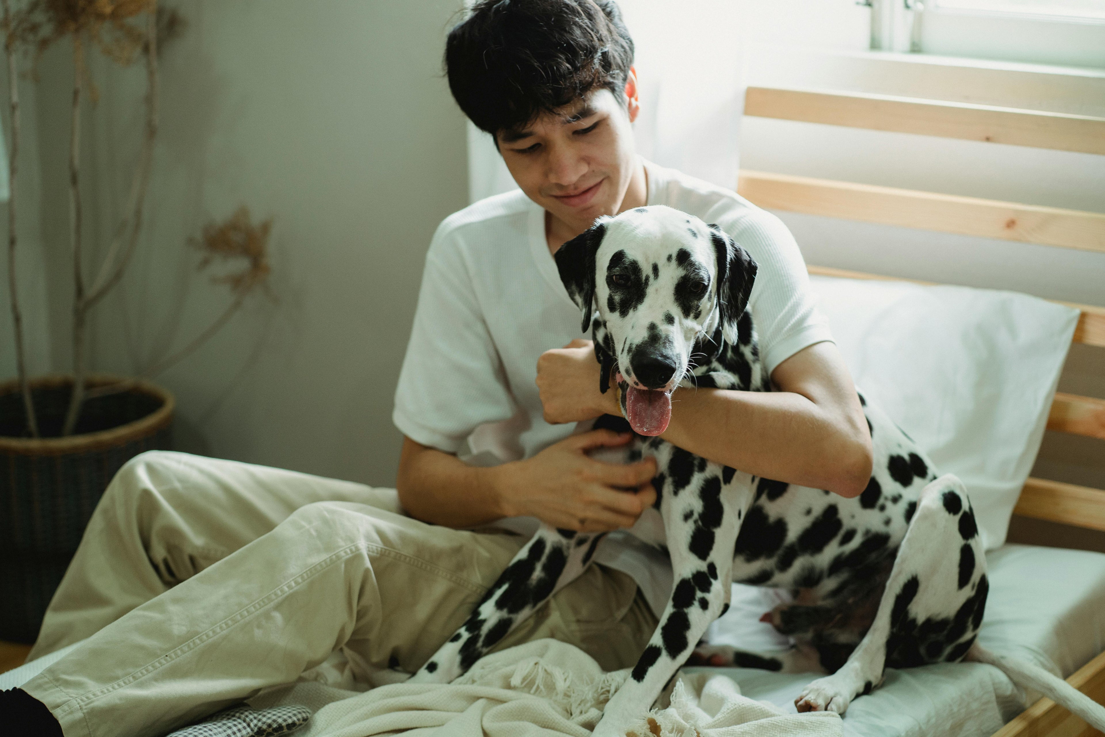 Bringing a New Dog Home