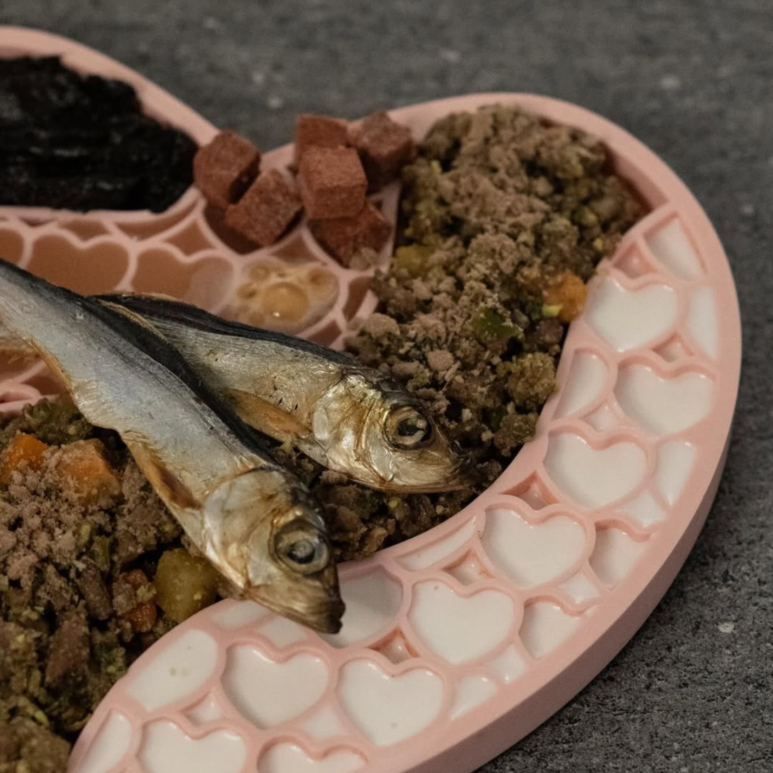 Capelin and Fresh Food Dog Enrichment Bowl