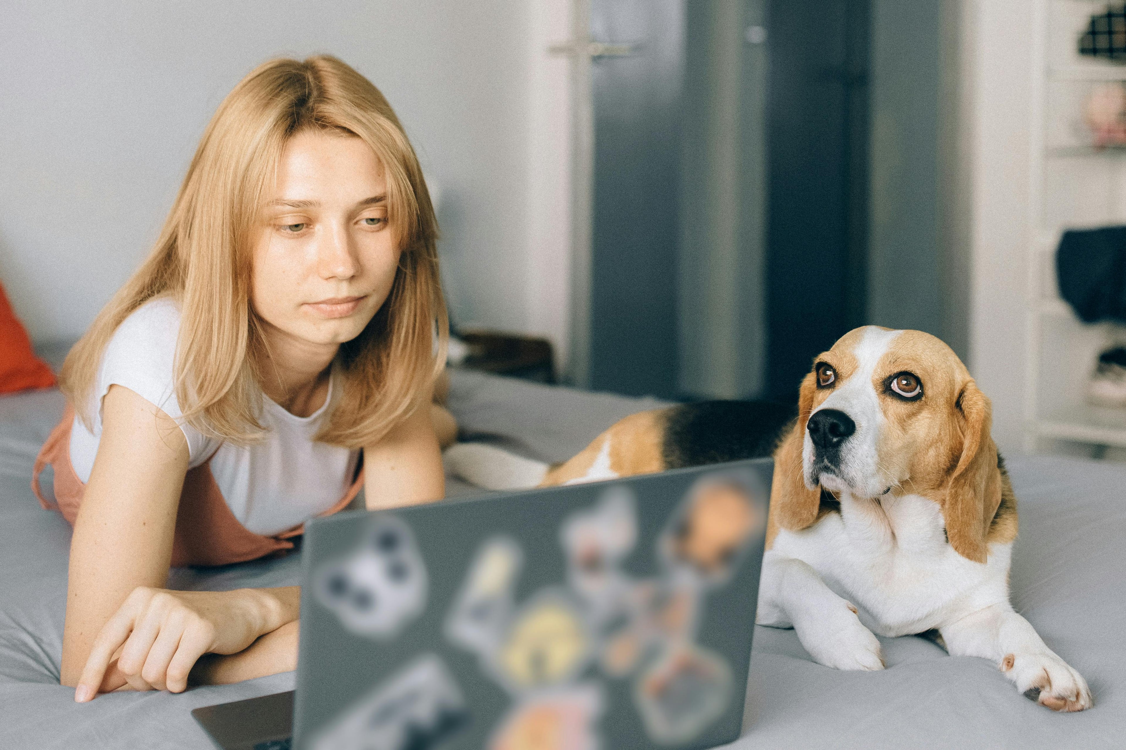 A person working on a laptop with a dog sitting next to them on a bed, in a cozy indoor setting.