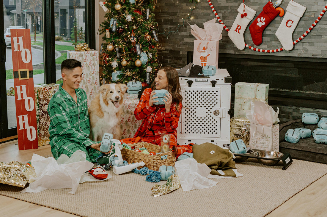 Surviving the Holidays with Your Dog: Practical Tips for a Calm Season