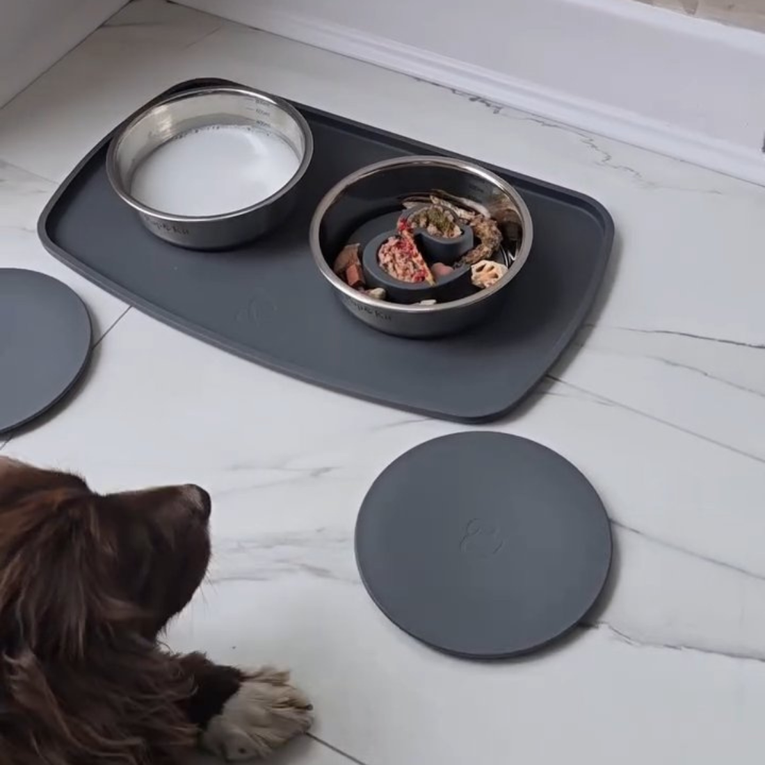 Fresh food and goat milk dog enrichment bowl with capelin