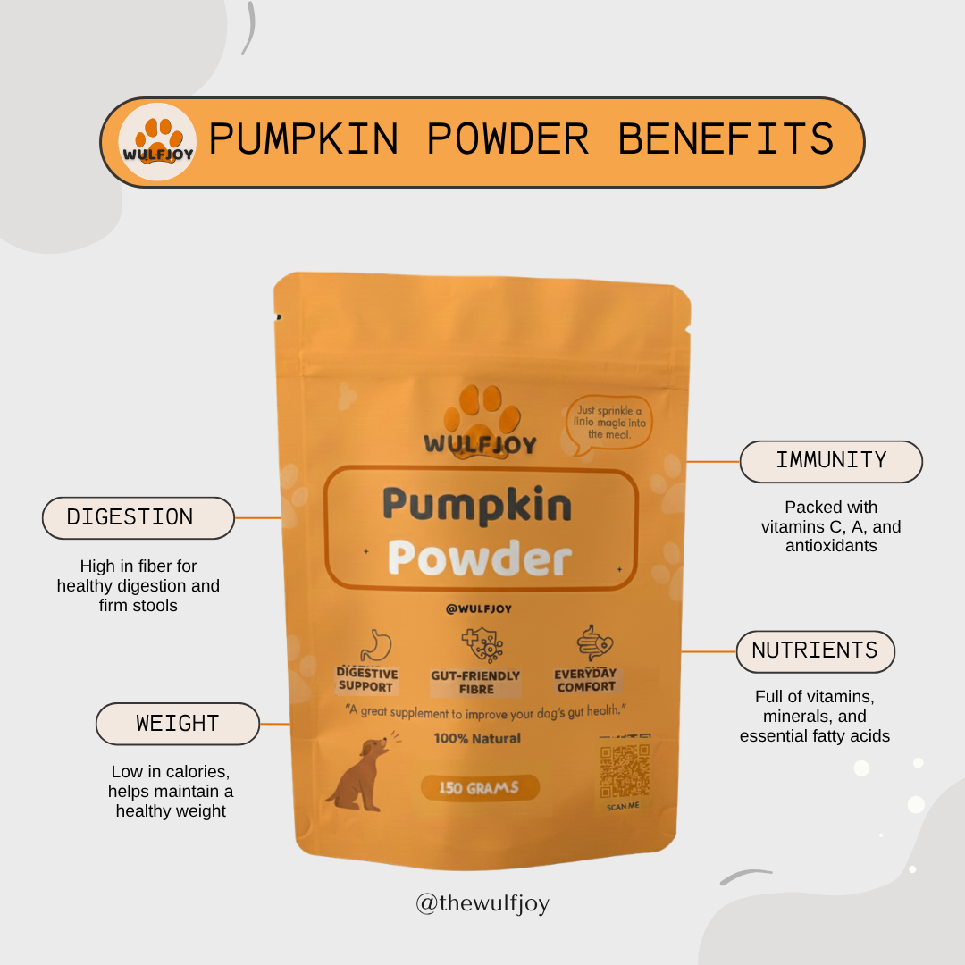 Wulfjoy Pumpkin Powder packaging with benefits listed on a white background
