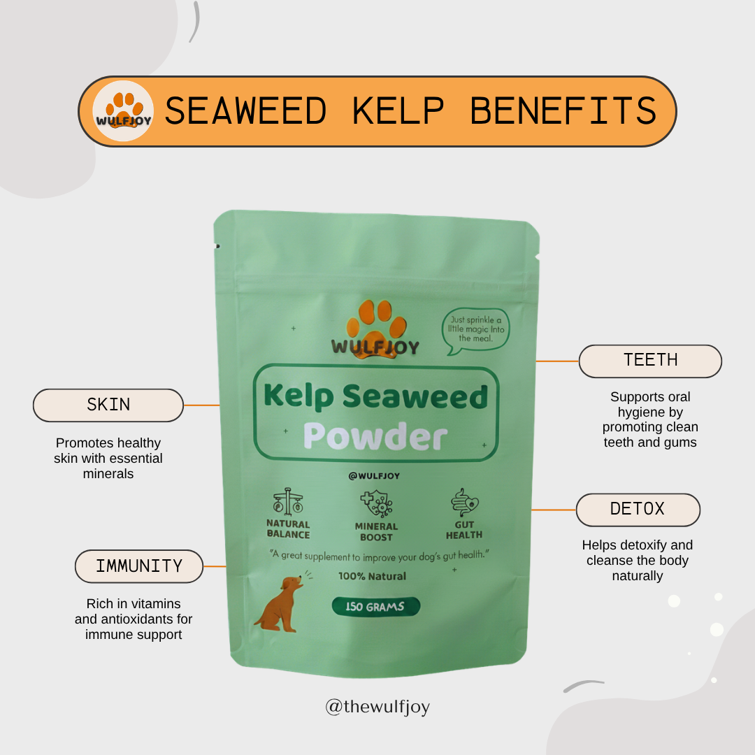 WulfJoy Kelp Seaweed Powder packaging with benefits listed on a white background