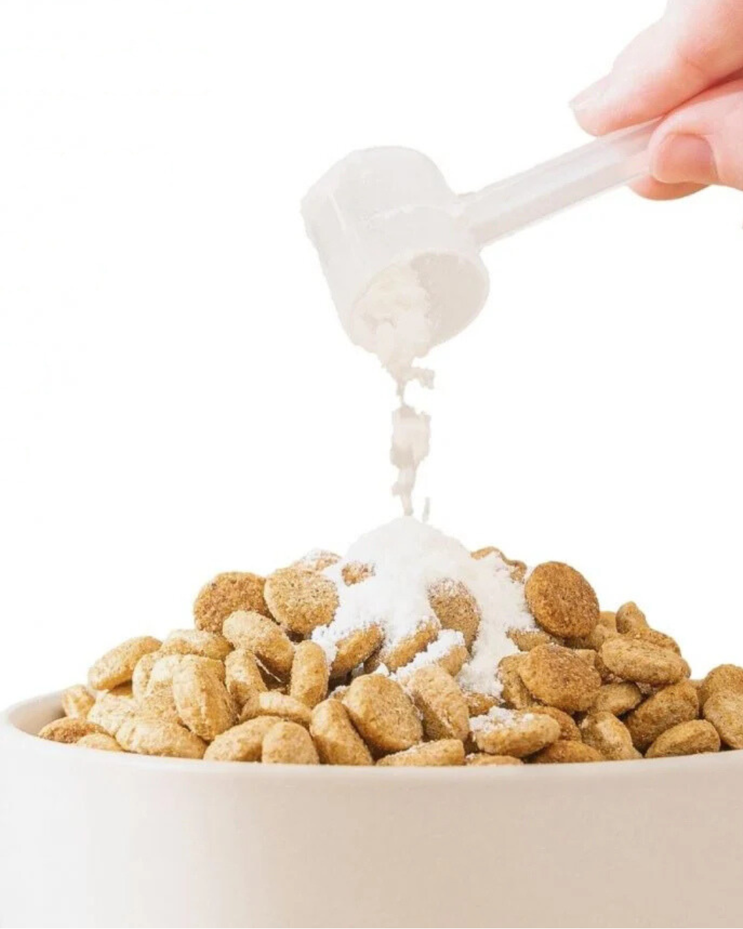 Adding powder supplement to dog food