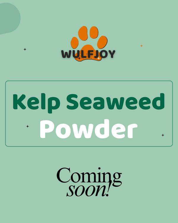Organic Seaweed Kelp Powder