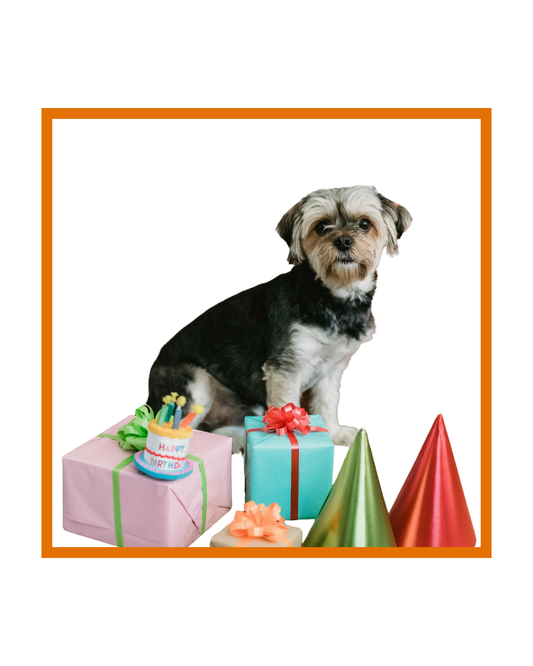 Free Birthday Shoutout for Your Pet