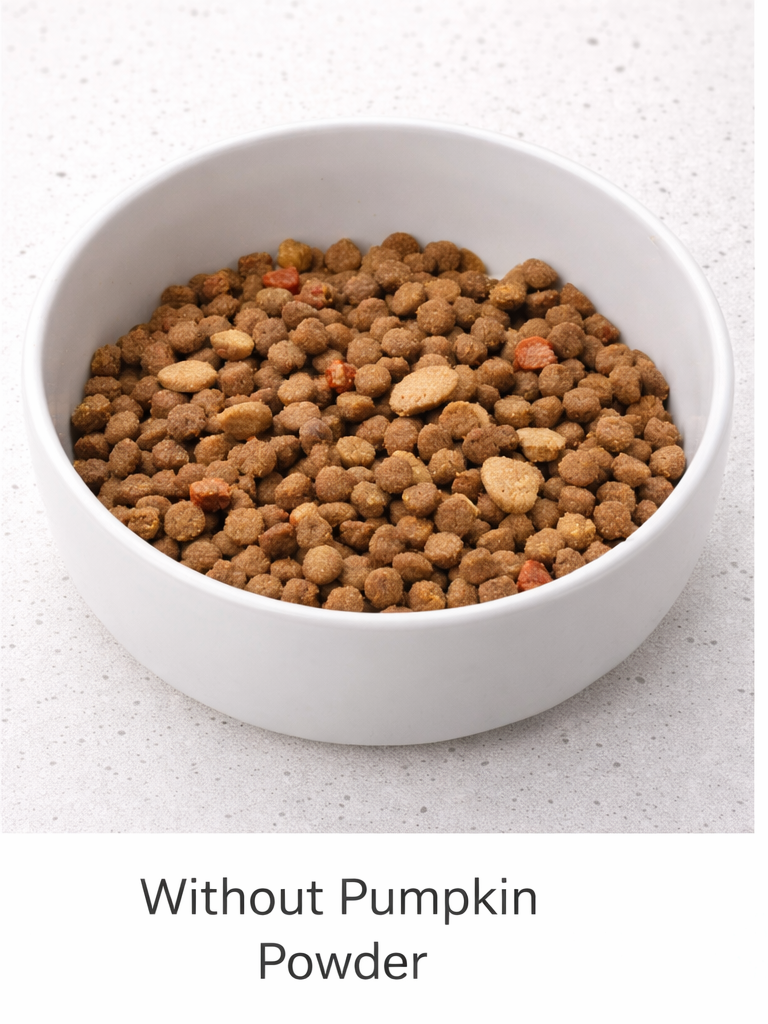 White bowl filled with brown pet food on a light gray surface, labeled 'Without Pumpkin Powder'.