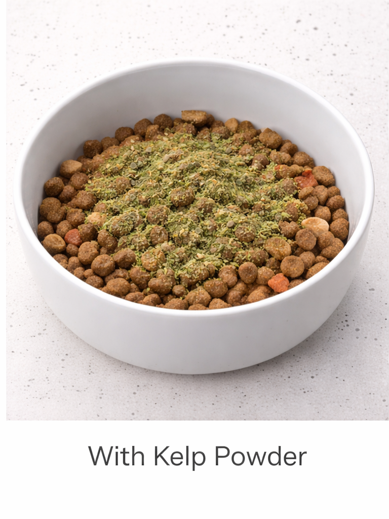 White bowl filled with brown pet food on a light gray surface, labeled 'With Kelp Powder'.