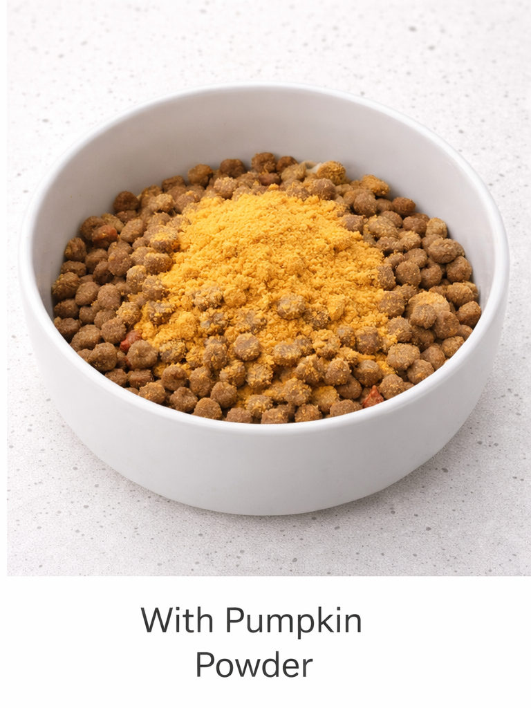 White bowl filled with pet food with pumpkin powder on a light gray surface