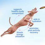 Dog jumping beside a WulfJoy Goat Milk Powder information graphic