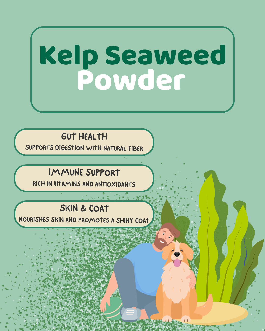 Kelp seaweed powder product description with a man and dog illustration on a green background